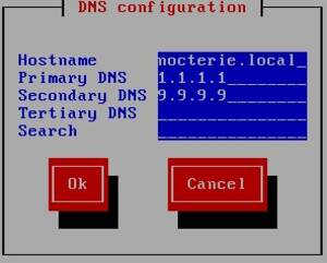 Réglages des options DNS