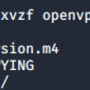 untar_openvpn.png
